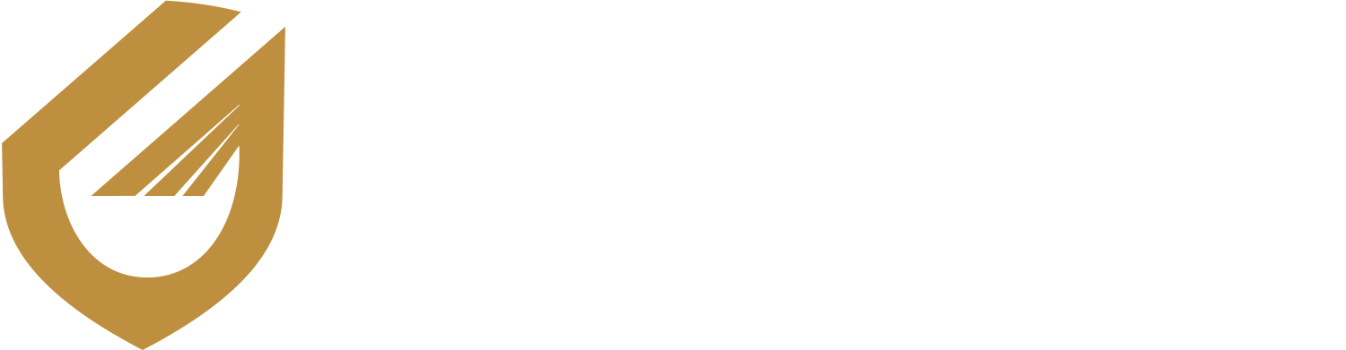 Guardian Financial Consultants